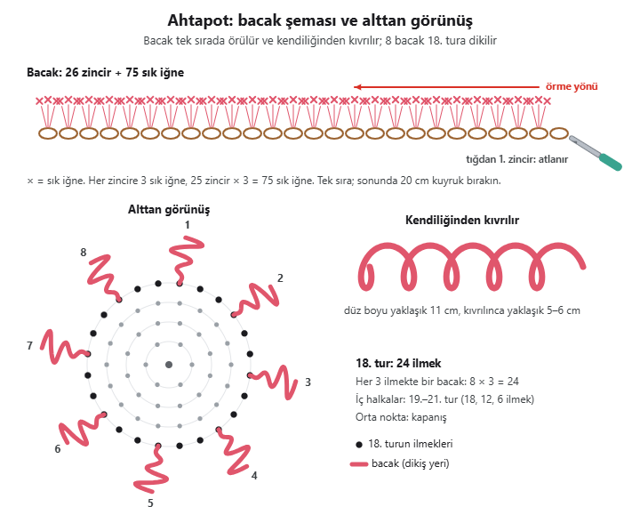 Ahtapot bacak şeması: 26 zincir ve her zincire 3 sık iğne; alttan görünüşte 24 ilmeklik 18. tur ve 3 ilmekte bir dikilen 8 bacak