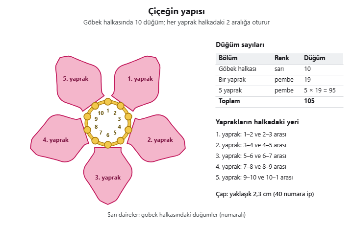 İğne oyası çiçeğin yapı şeması: 10 düğümlü sarı göbek halkası ve çevresinde numaralı 5 pembe yaprak