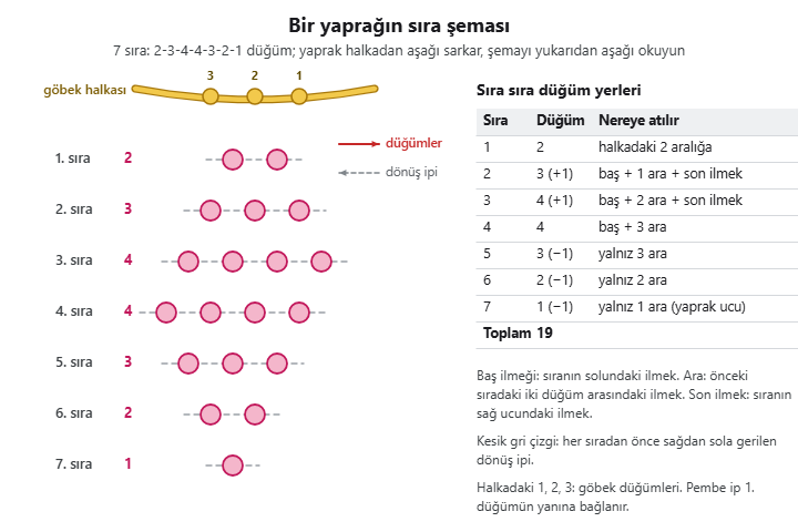 İğne oyası yaprağın sıra şeması: 7 sırada 2, 3, 4, 4, 3, 2 ve 1 düğüm
