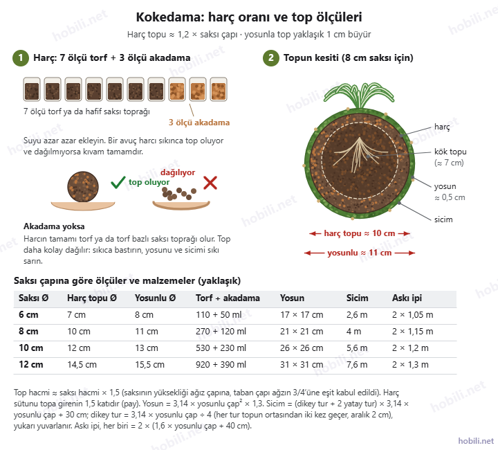 Kokedama harç oranı ve top ölçüleri: 7 ölçü torf ve 3 ölçü akadama, harç topunun yosun, sicim ve kök topuyla kesiti, 6–12 cm saksılar için ölçü ve malzeme tablosu