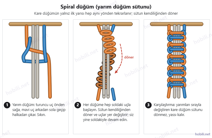 Spiral düğüm şeması: tek yarım düğüm, dönen yarım düğüm sütunu ve karşılaştırma için düz kare düğüm sütunu