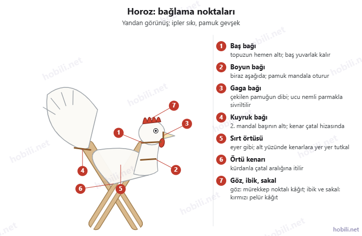 Horozun bağlama noktaları şeması: baş, boyun, gaga ve kuyruk bağları, sırt örtüsü, örtü kenarı, göz, ibik ve sakal
