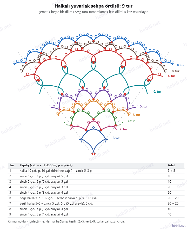 Halkalı yuvarlak mekik oyası örtünün 72 derecelik şematik dilimi ve dokuz turun tablosu