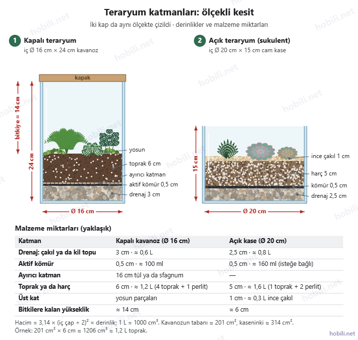 Teraryum katmanlarının ölçekli kesiti: iç çapı 16 cm, yüksekliği 24 cm kapalı kavanoz ve iç çapı 20 cm, yüksekliği 15 cm açık cam kase, katman derinlikleri ve malzeme miktarları tablosu